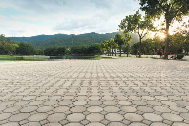 Best Concrete Paver Driveway  in Gustine, CA