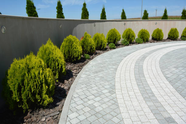 Best Interlocking Driveway Pavers  in Gustine, CA